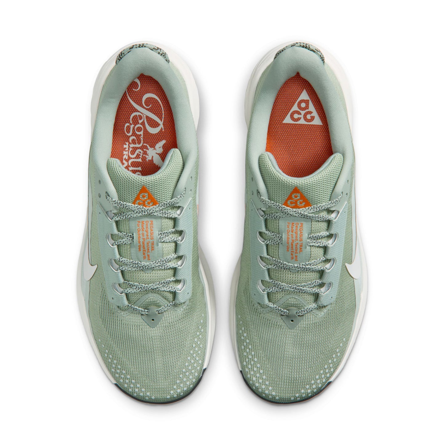 NIKE ACG PEGASUS TRAIL