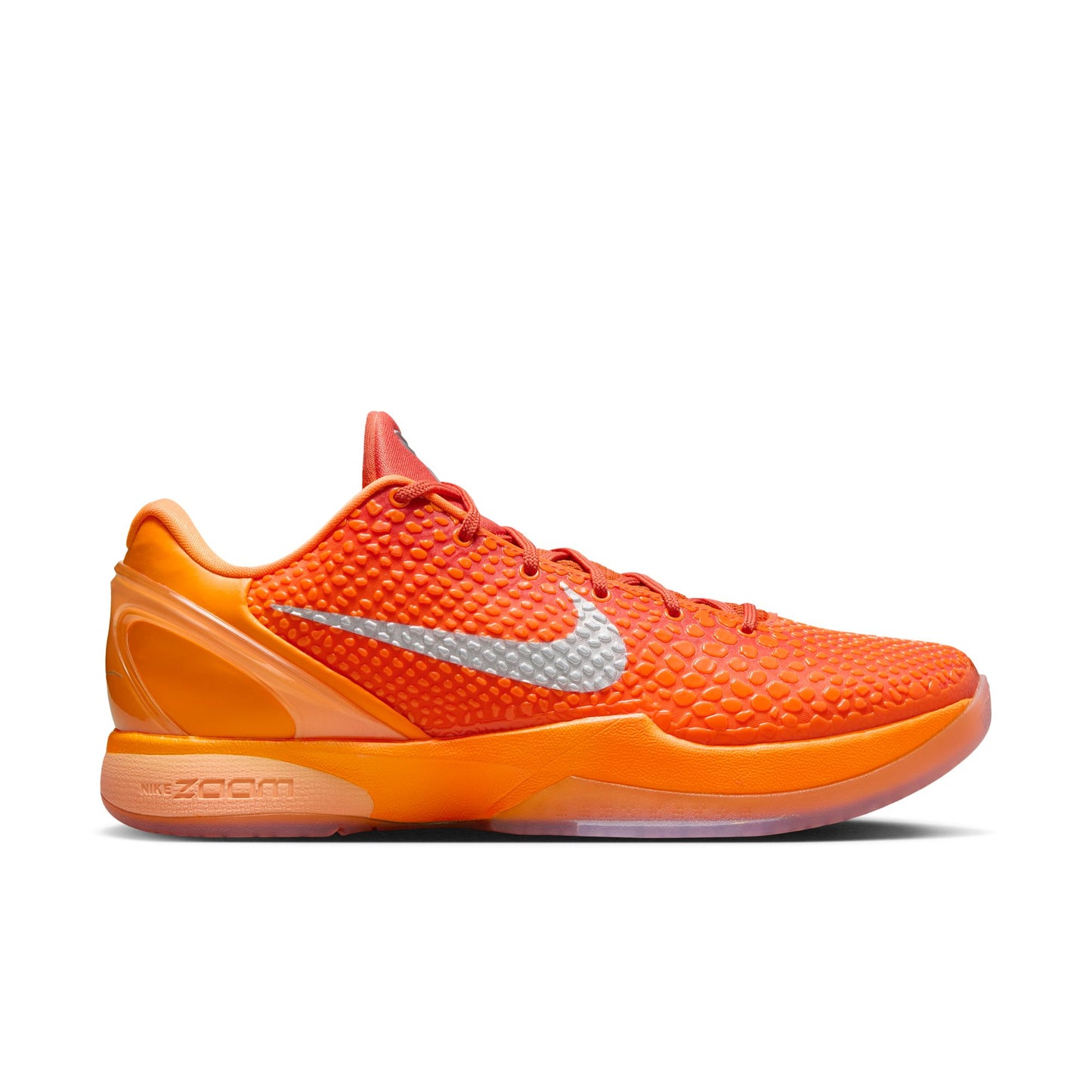 KOBE VI PROTRO