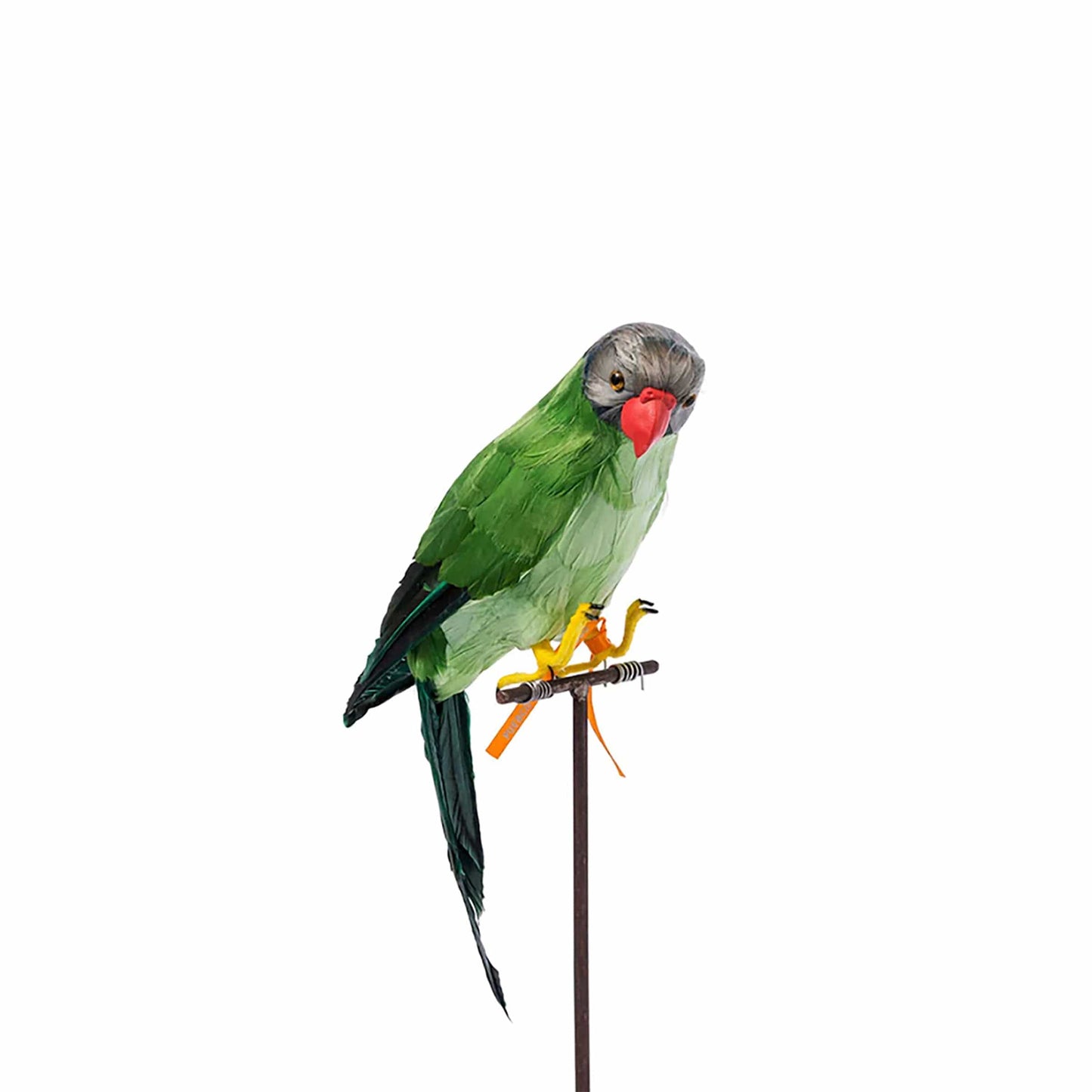 PUEBCO Odds & Ends GREEN PARROT / O/S ARTIFICIAL BIRDS: GREEN PARROT