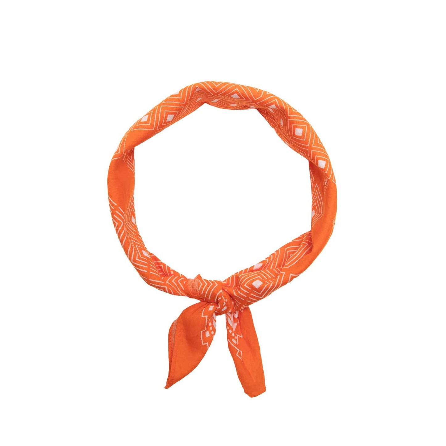 Neighborhood Bags & Accessories ORANGE / O/S CRYPT / C-BANDANA