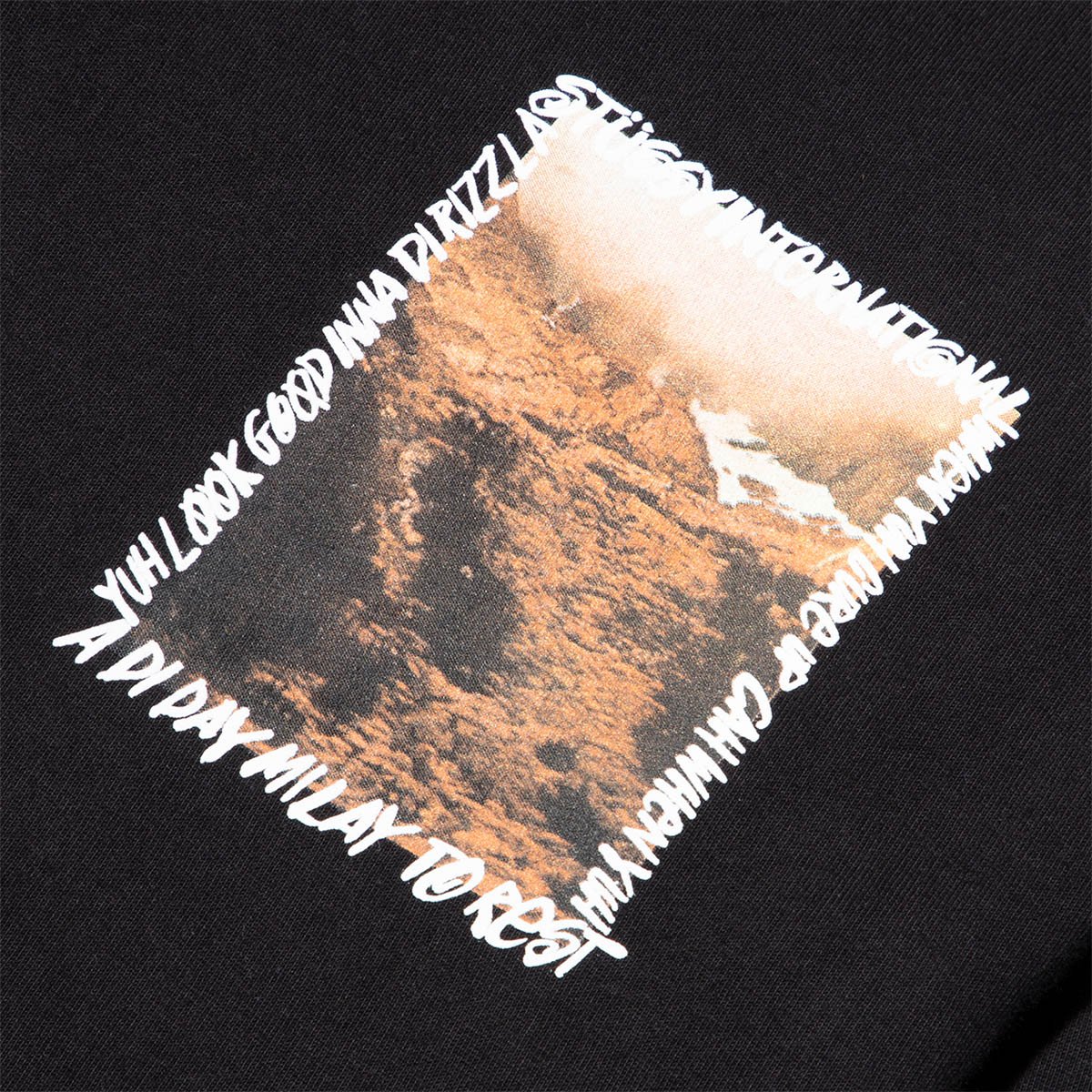 Stussy T-Shirts GREAT OUTDOORS LS TEE
