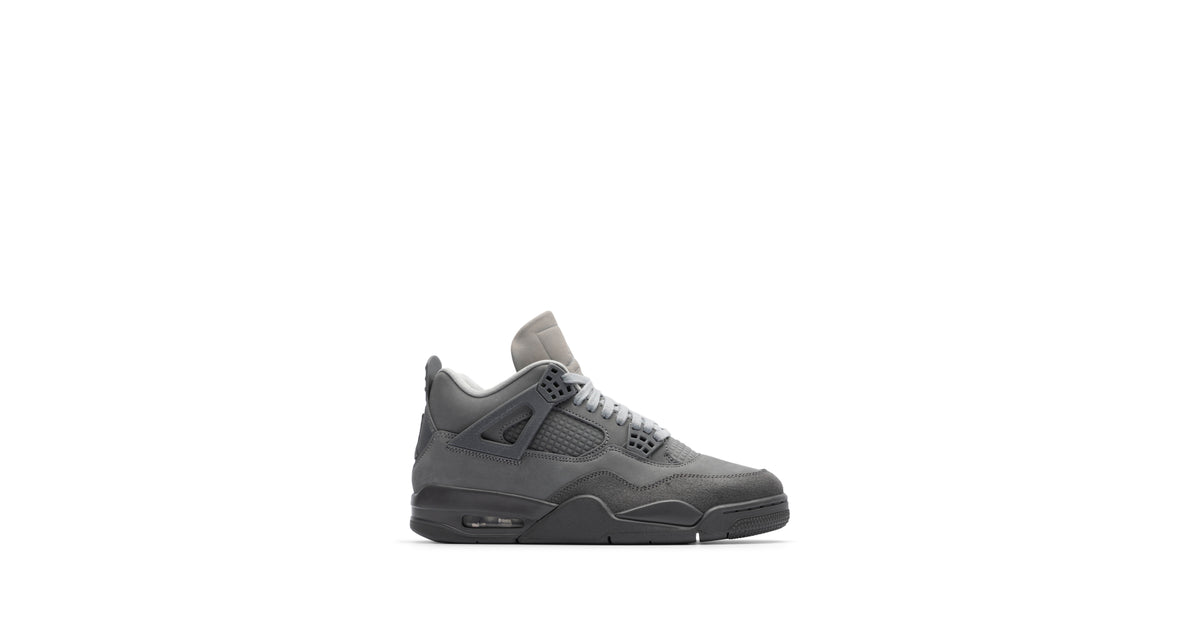 Air Jordan 4 Retro SE 