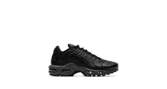 Nike Air Max Plus PRM 'Black Tea and Petra Brown'
