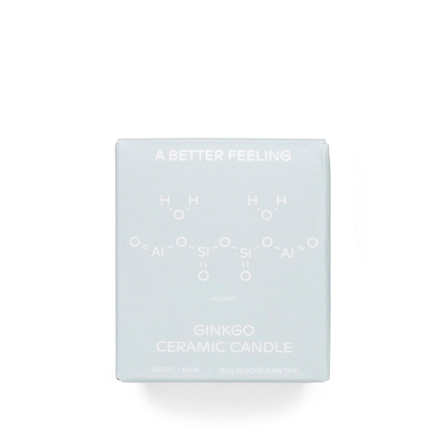 A BETTER FEELING Home WHITE / O/S GINKGO CERAMIC CANDLE