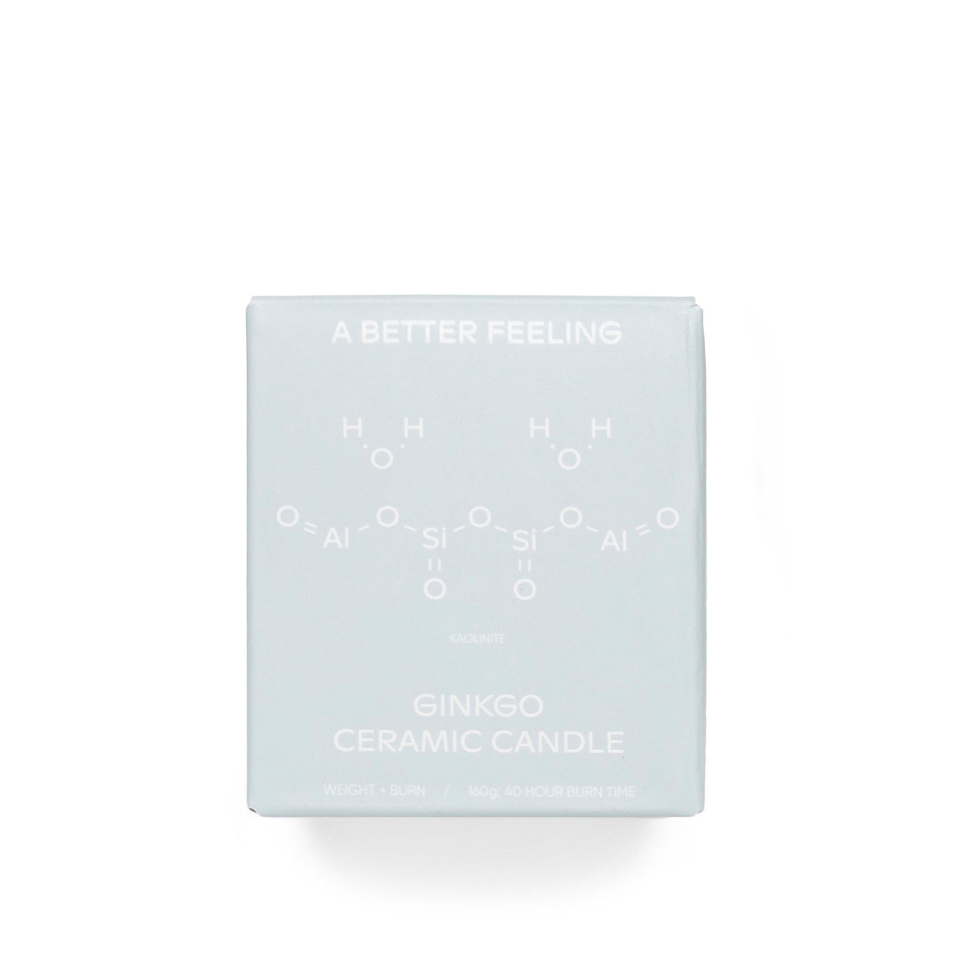 A BETTER FEELING Home WHITE / O/S GINKGO CERAMIC CANDLE