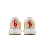 LEBRON WITNESS 9