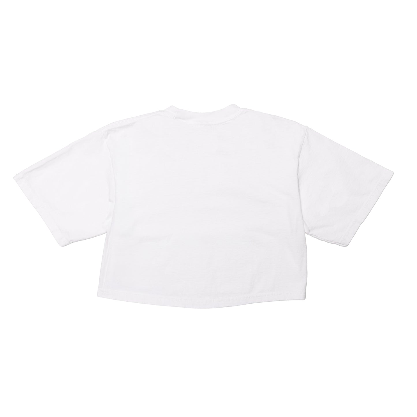GARMENT DYE CROP TOP