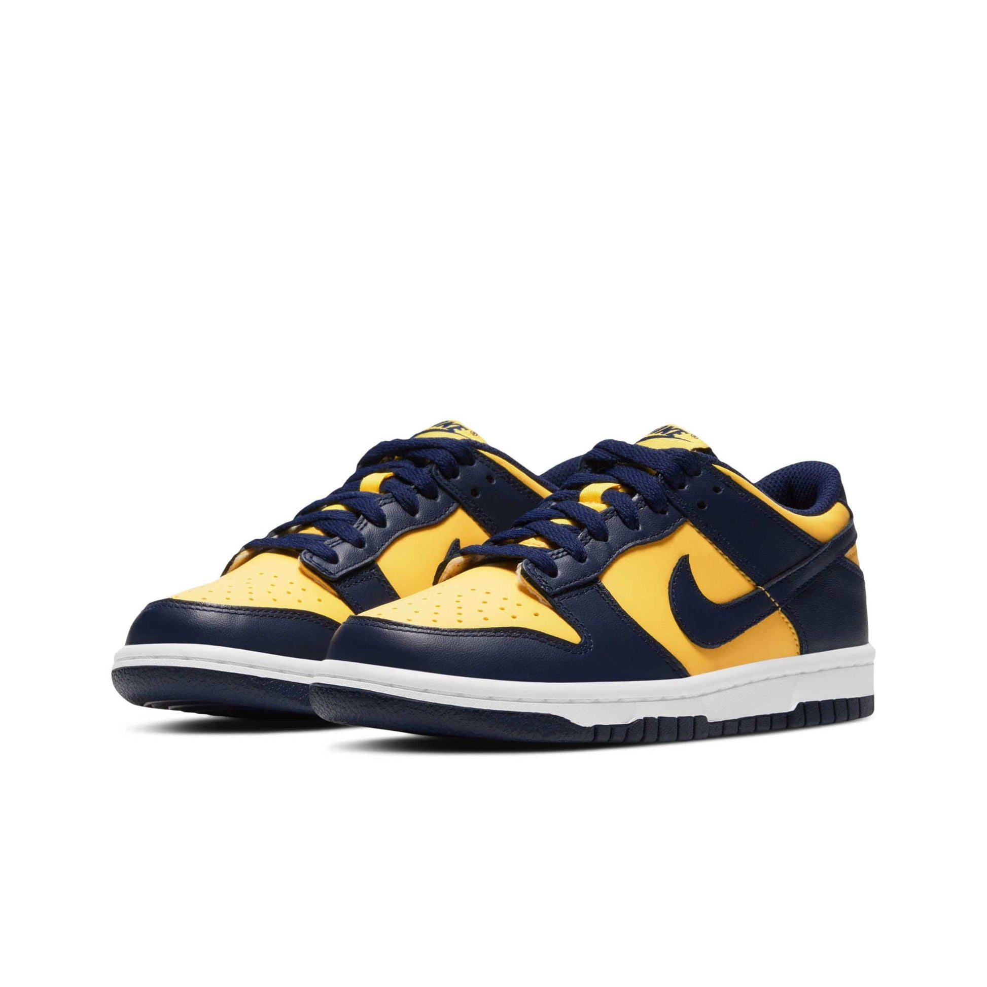 NIKE DUNK LOW [CW1590-700] 