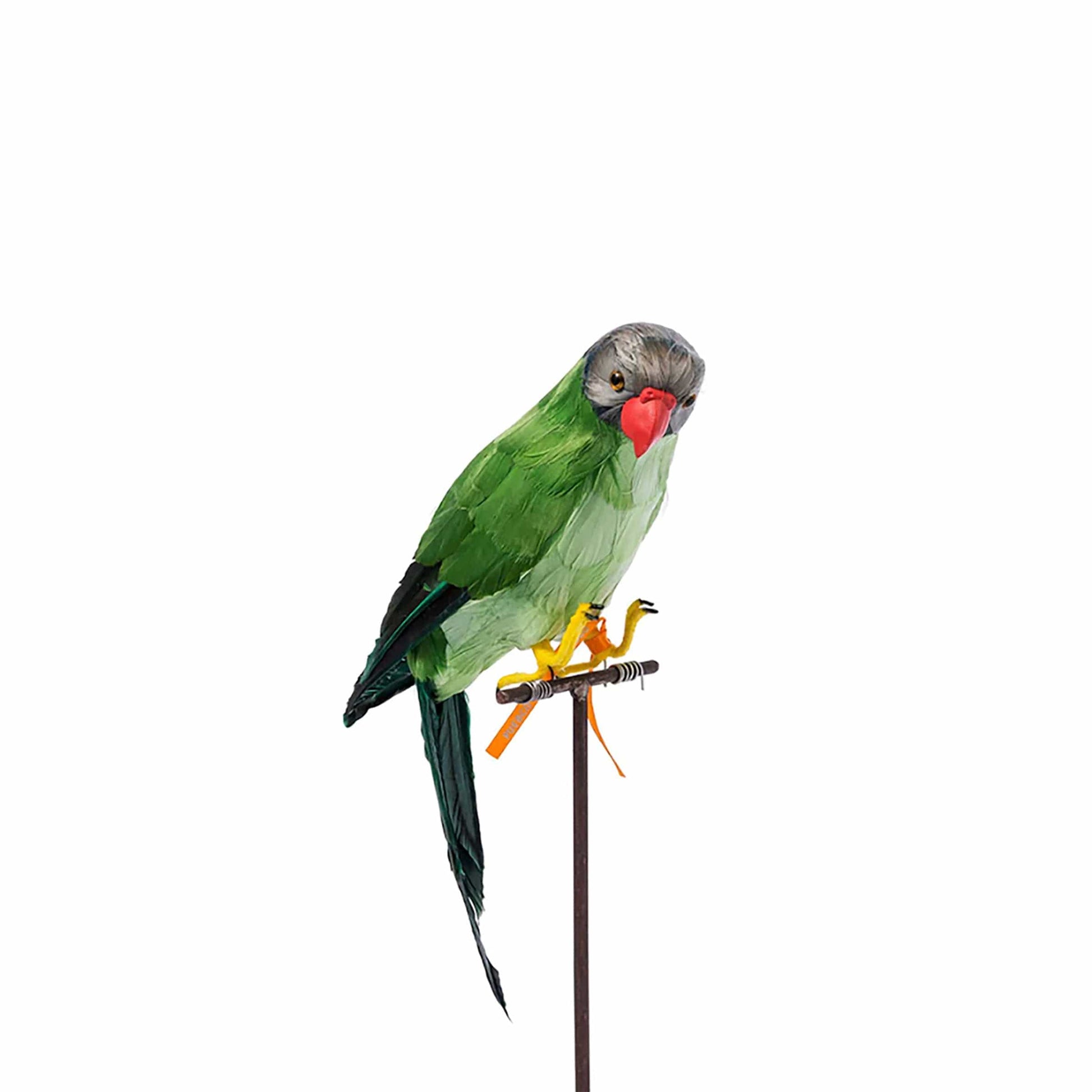 PUEBCO Odds & Ends GREEN PARROT / O/S ARTIFICIAL BIRDS: GREEN PARROT