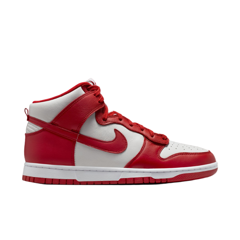 NIKE DUNK HIGH RETRO SE