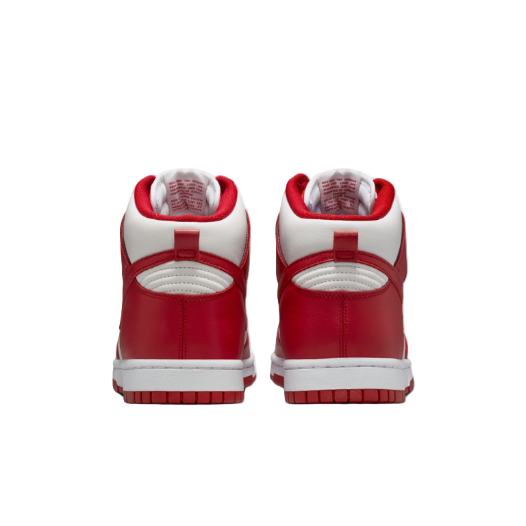 NIKE DUNK HIGH RETRO SE