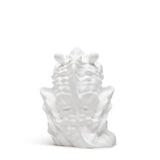 A BETTER FEELING Odds & Ends WHITE / O/S CERAMIC DRAGON OIL DIFFUSER + PENULTIMATE