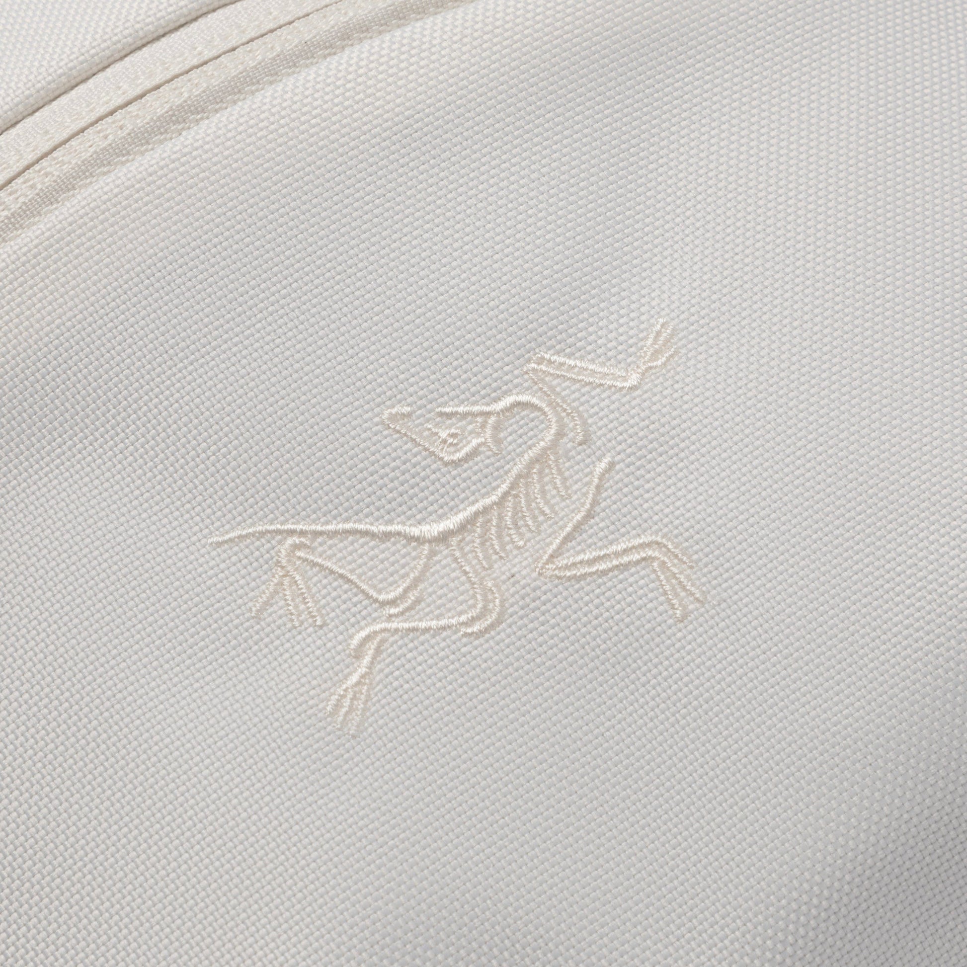 Arc'teryx Bags WHITEOUT / O/S MANTIS 2 WAIST PACK