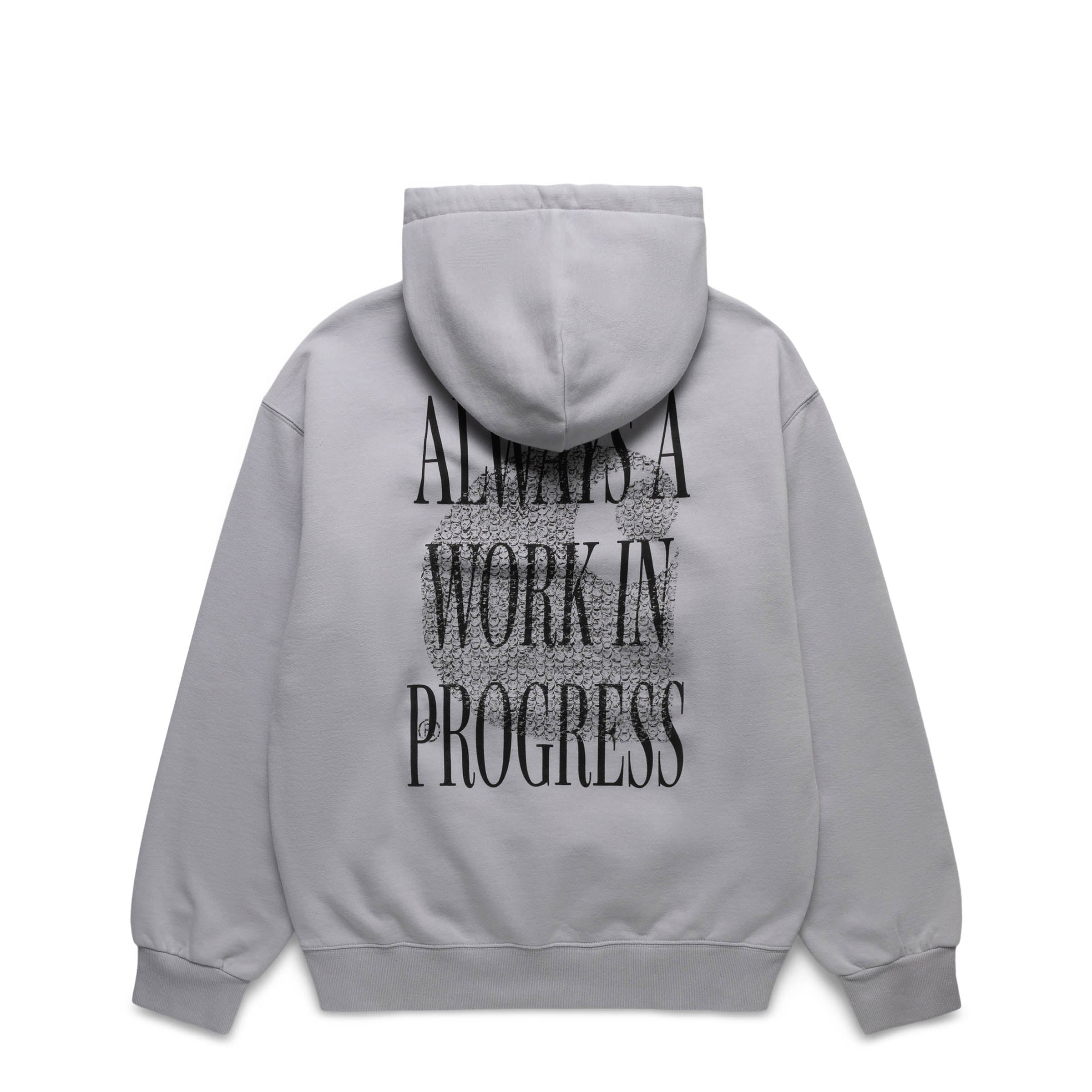 Carhartt work in progress hot sale hoodie