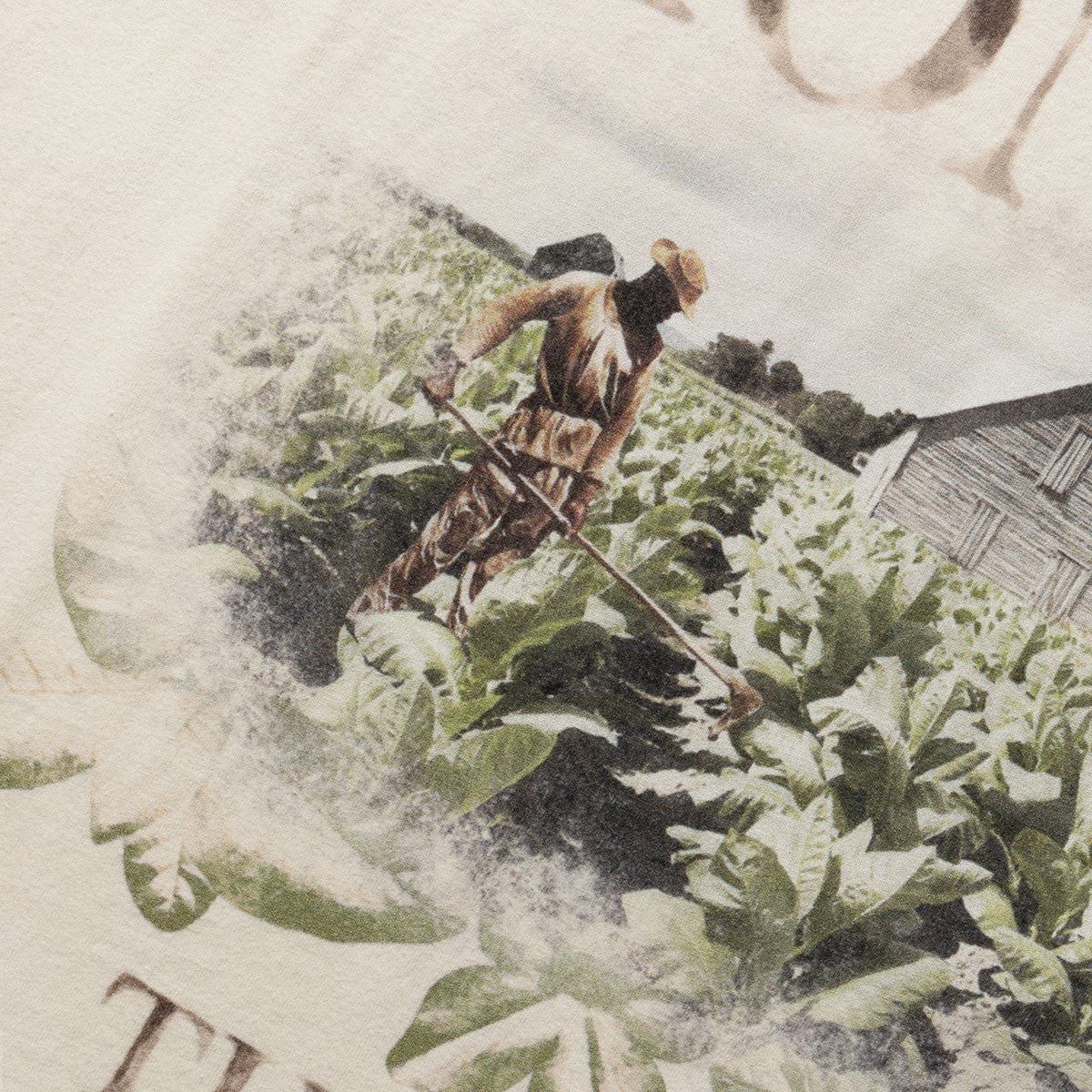 Honor The Gift T-Shirts TOBACCO FIELD T-SHIRT