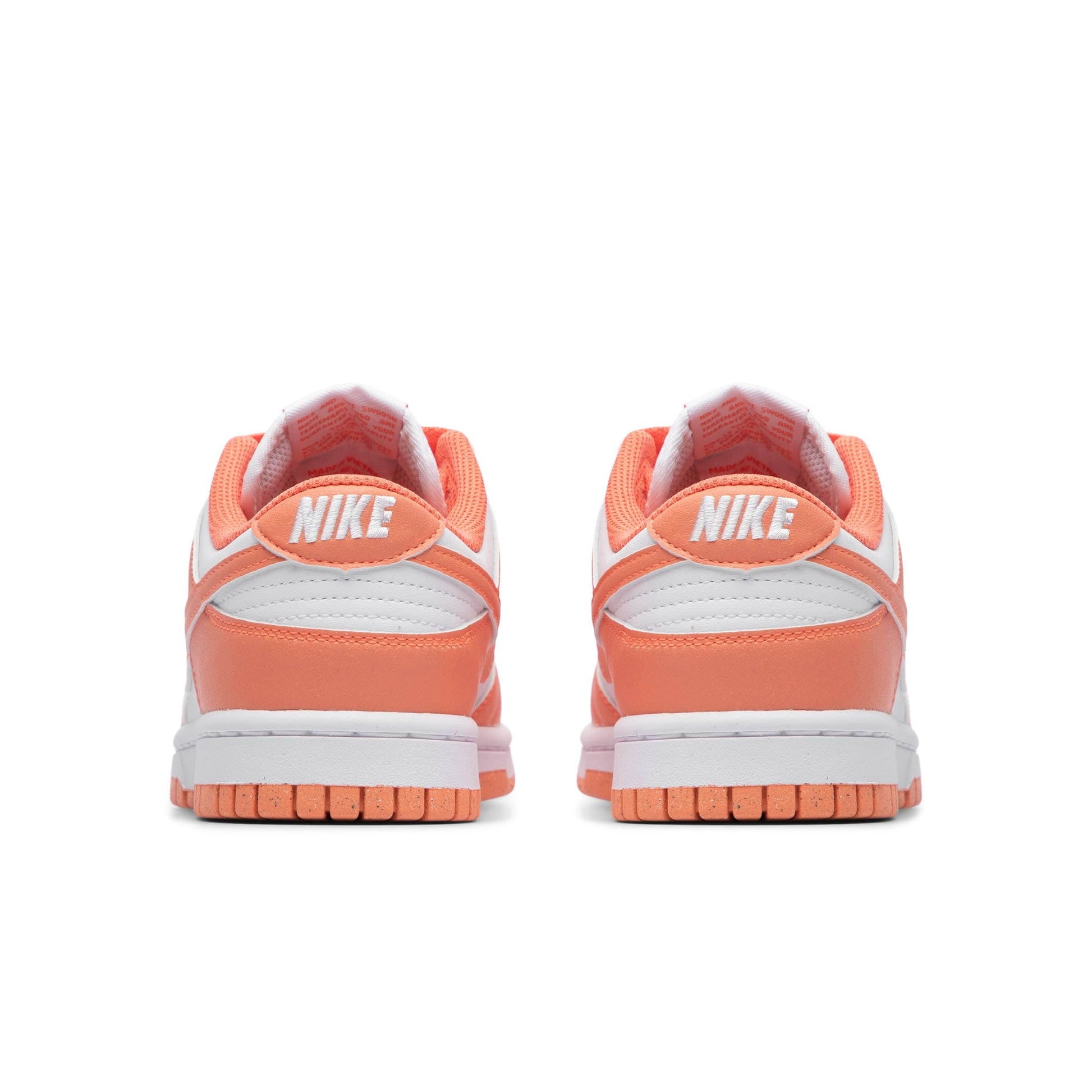 WOMEN'S NIKE DUNK LOW [DD1873-109]