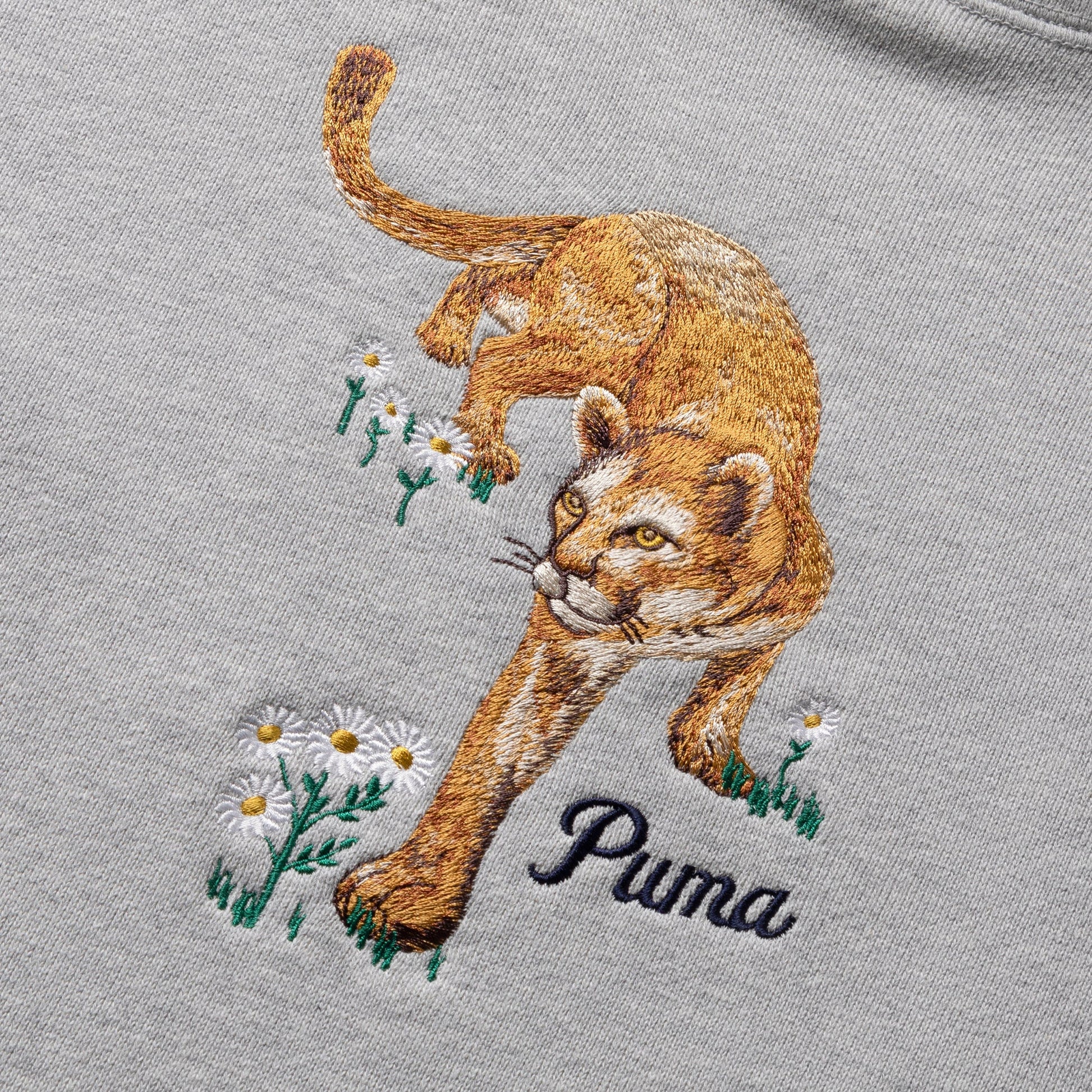 PUMA Hoodies & Sweatshirts X NOAH GRAPHIC HOODIE