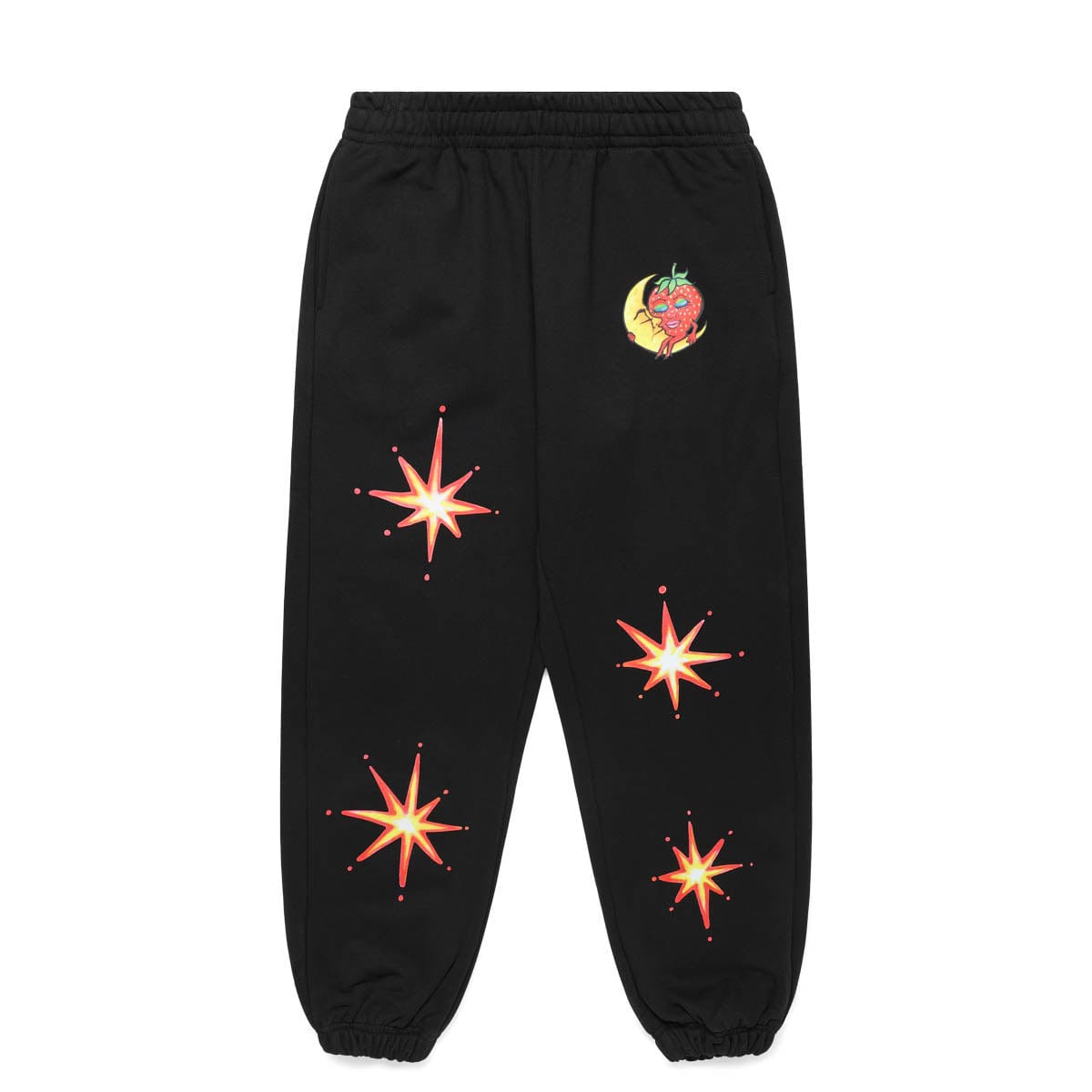 Sky High Farm Bottoms ALLY BO PERENNIALS PRINTED SWEATPANTS