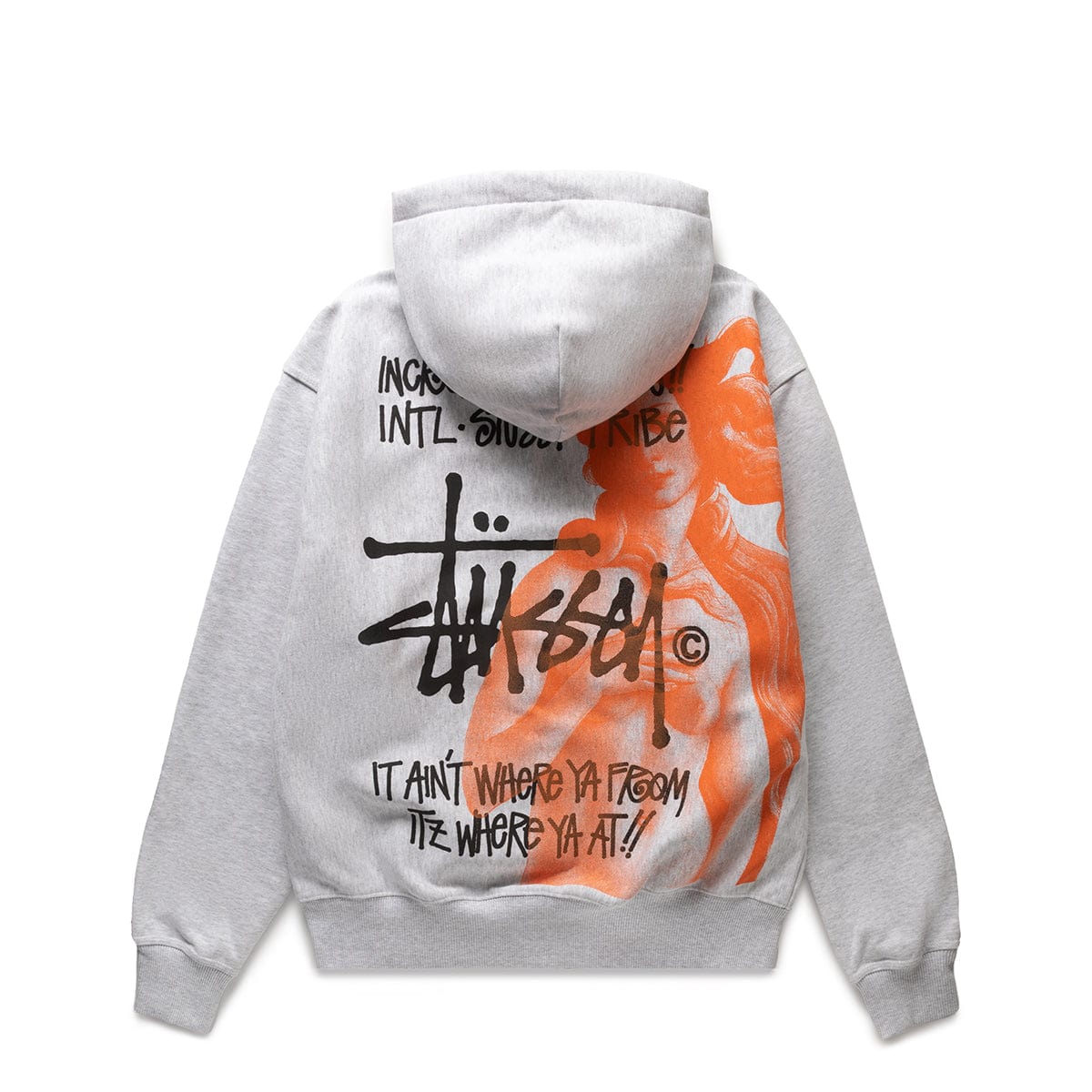 Stussy Hoodies & Sweatshirts IST VENUS ZIP HOODIE