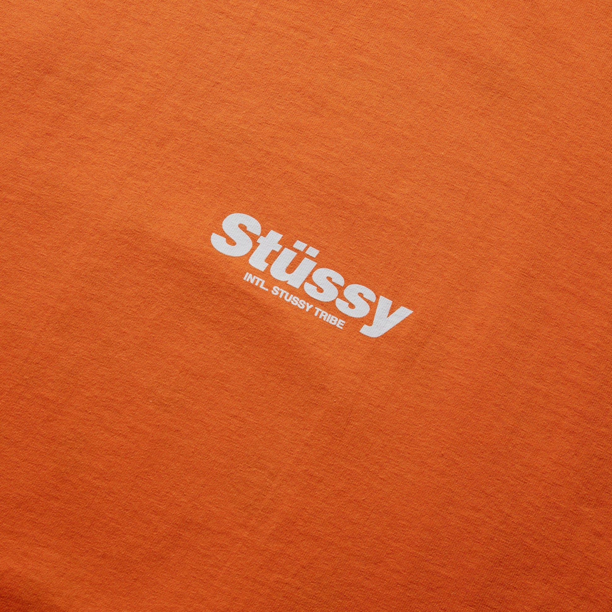 Stüssy T-Shirts RABBIT HOLE T-SHIRT