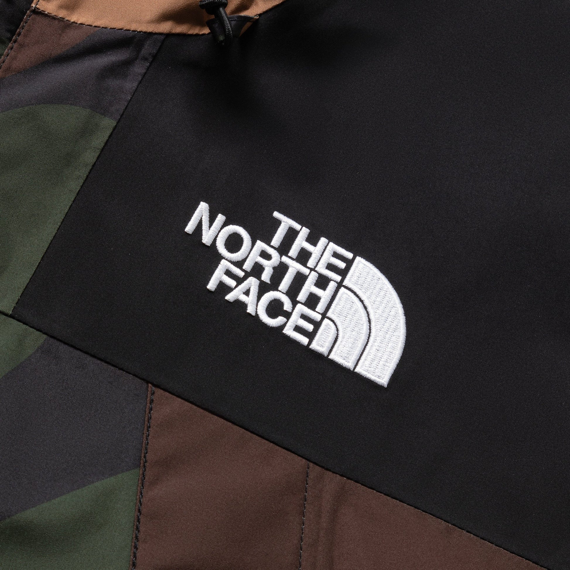 The North Face Outerwear GTX MOUNTAIN JACKET