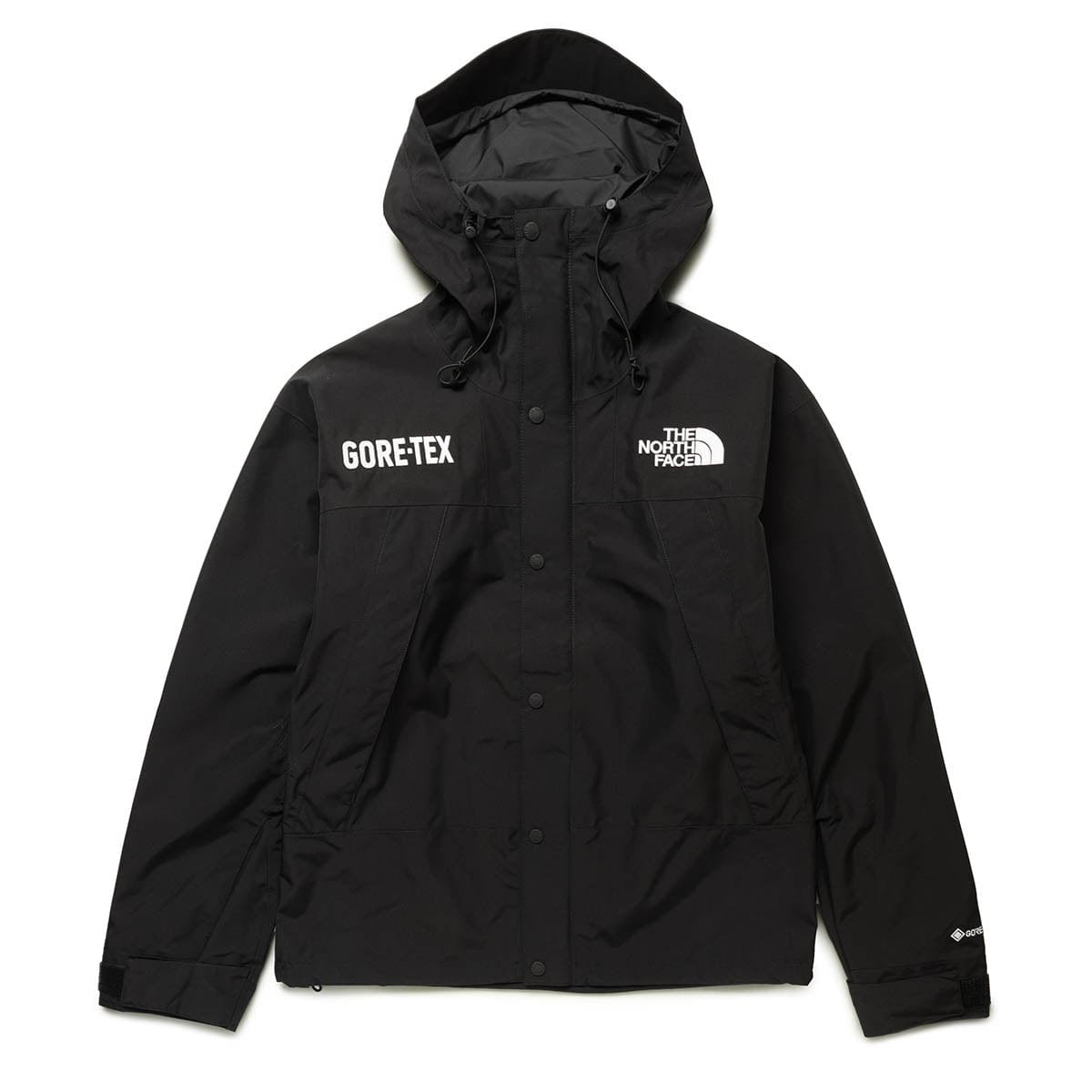 The North Face Outerwear GTX MOUNTAIN JACKET