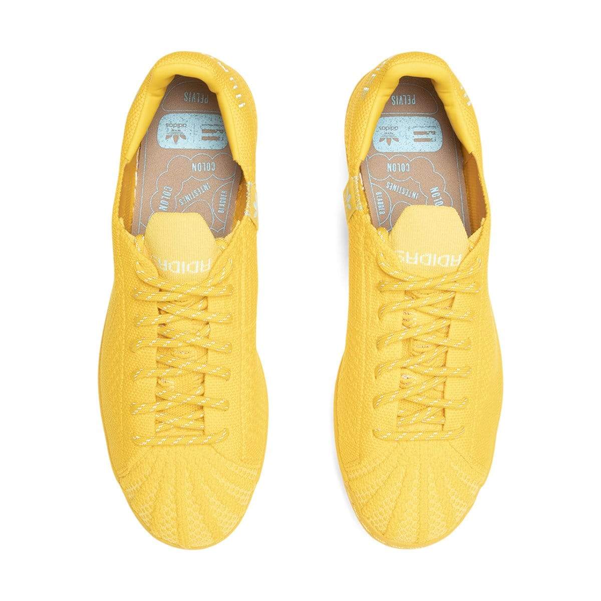 x Pharrell Williams SUPERSTAR PRIMEKNIT Gold Bodega