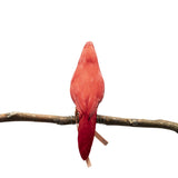PUEBCO Odds & Ends CARDINAL / O/S ARTIFICIAL BIRDS CARDINAL