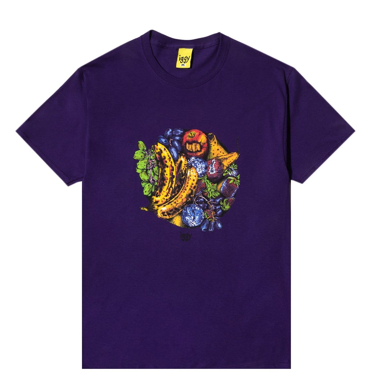 Iggy T-Shirts ROTTEN T-SHIRT