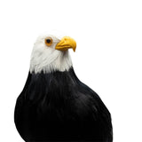 PUEBCO Odds & Ends BALD EAGLE / O/S ARTIFICIAL BIRDS: BALD EAGLE