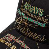 Pleasures Headwear BLACK / O/S FAITH SNAPBACK