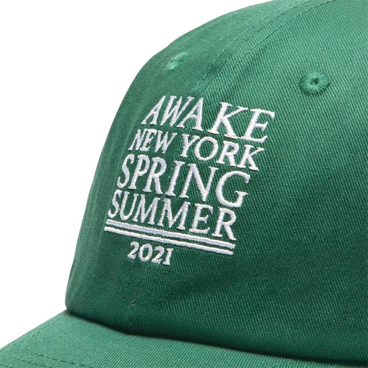 Awake NY Headwear GREEN / O/S AWAKE NY SS21 6 PANEL HAT
