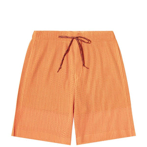Homme Plissé Issey Miyake Bottoms COLORFUL MESH SHORTS