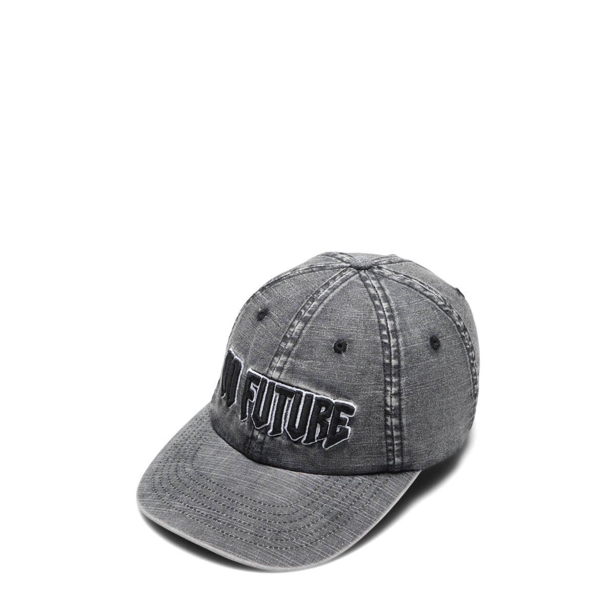 Aries Headwear GREY / O/S NO FUTURE CAP