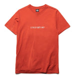 Load image into Gallery viewer, Stüssy LOVE &amp; UNITY TEE BRICK
