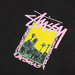 Load image into Gallery viewer, Stüssy T-Shirts PALM DESERT PIG. DYED LS TEE
