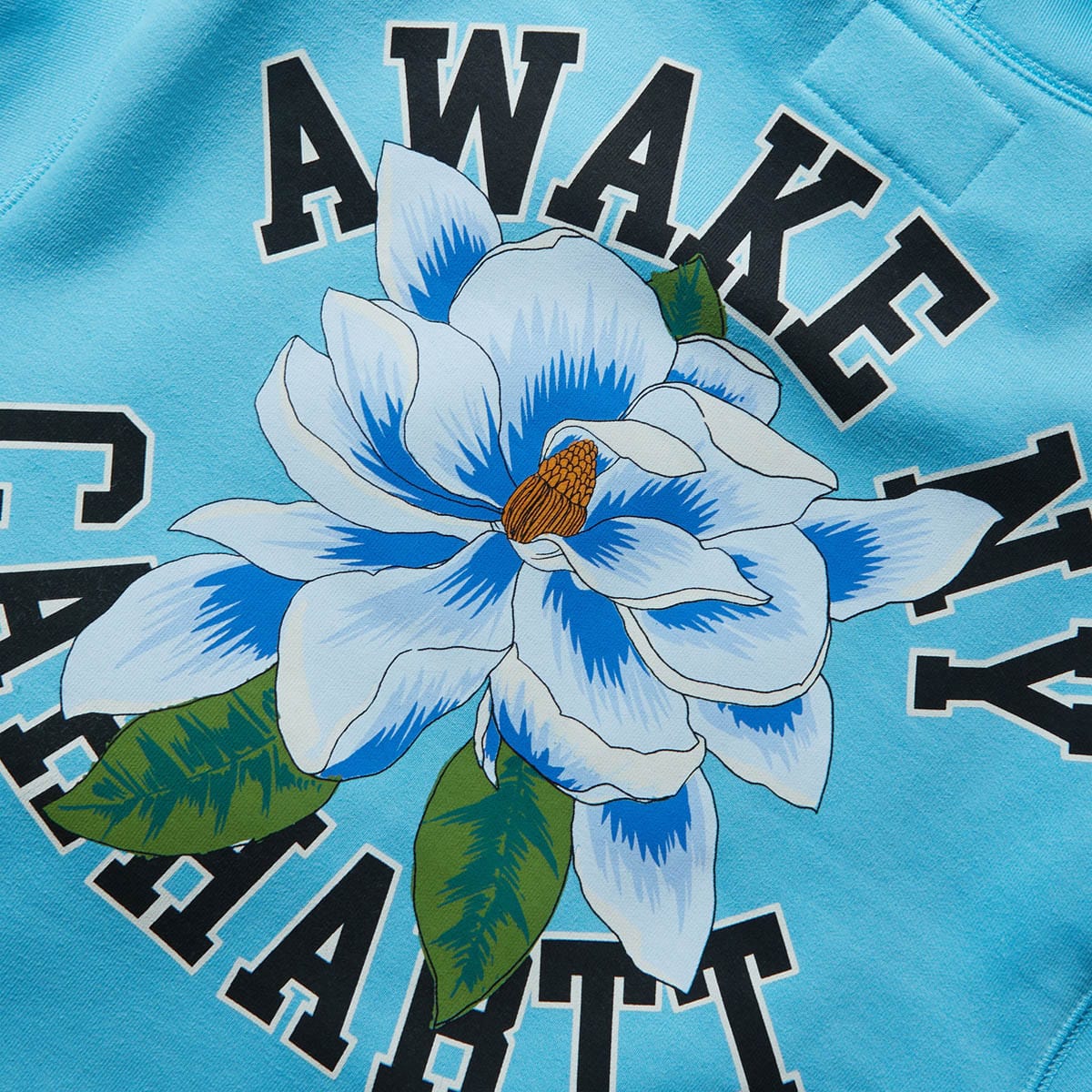 Awake NY Hoodies & Sweatshirts X CARHARTT WIP PRINTED HOODIE