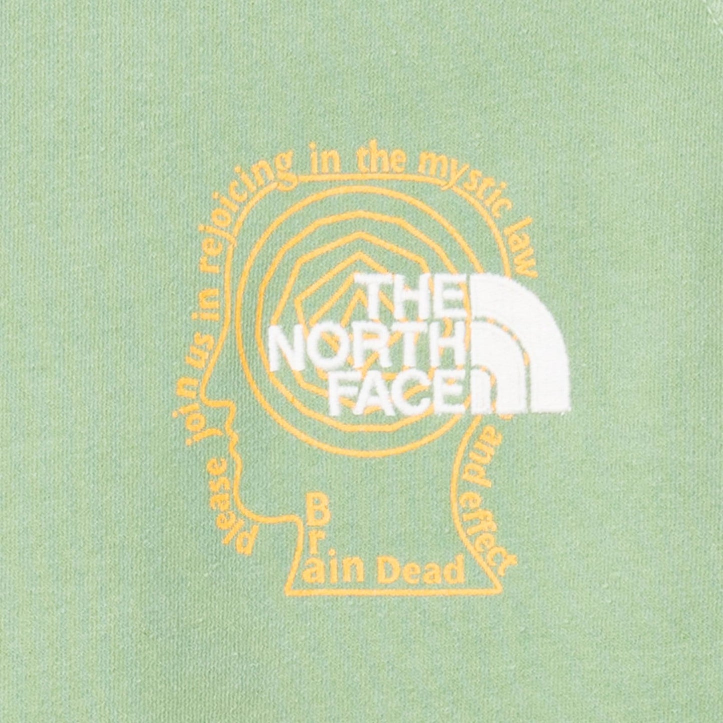 The North Face Hoodies & Sweatshirts x Brain Dead SS CREWNECK CLIMBER SWEATSHIRT