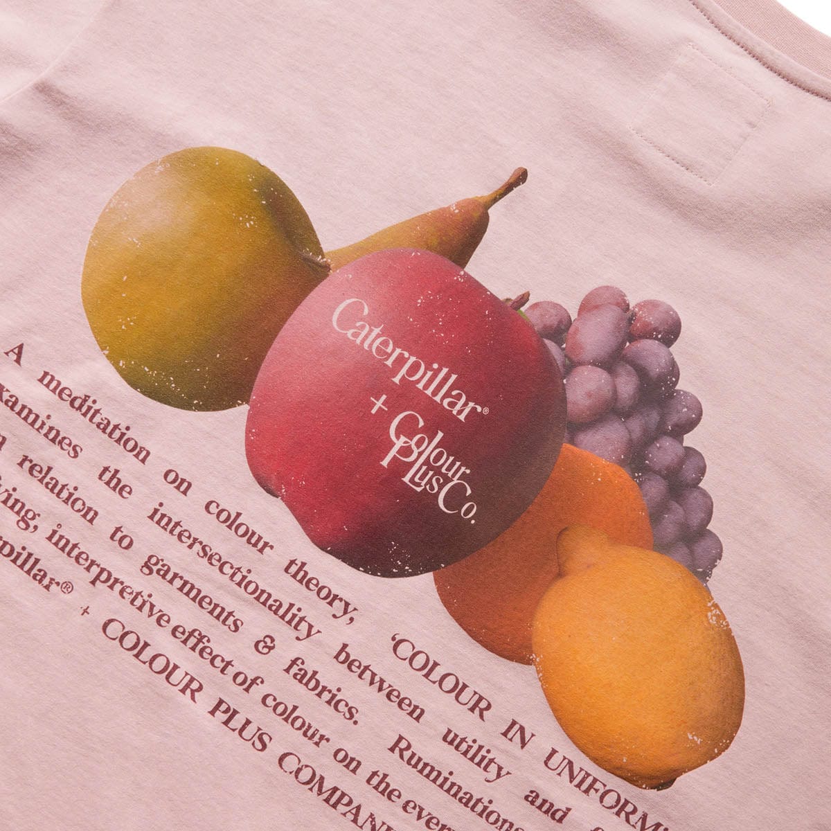 Caterpillar + Colour Plus Co T-Shirts FRUITS CREWNECK T-SHIRT