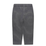 Homme Plissé Issey Miyake Bottoms LENO STRIPE PANTS