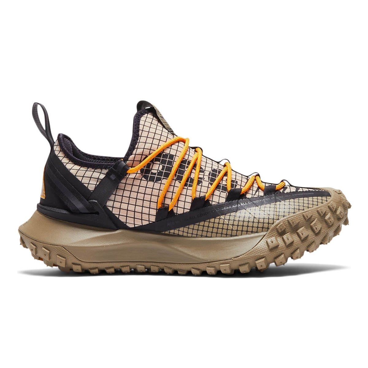 Nike Shoes ACG MOUNTAIN FLY LOW