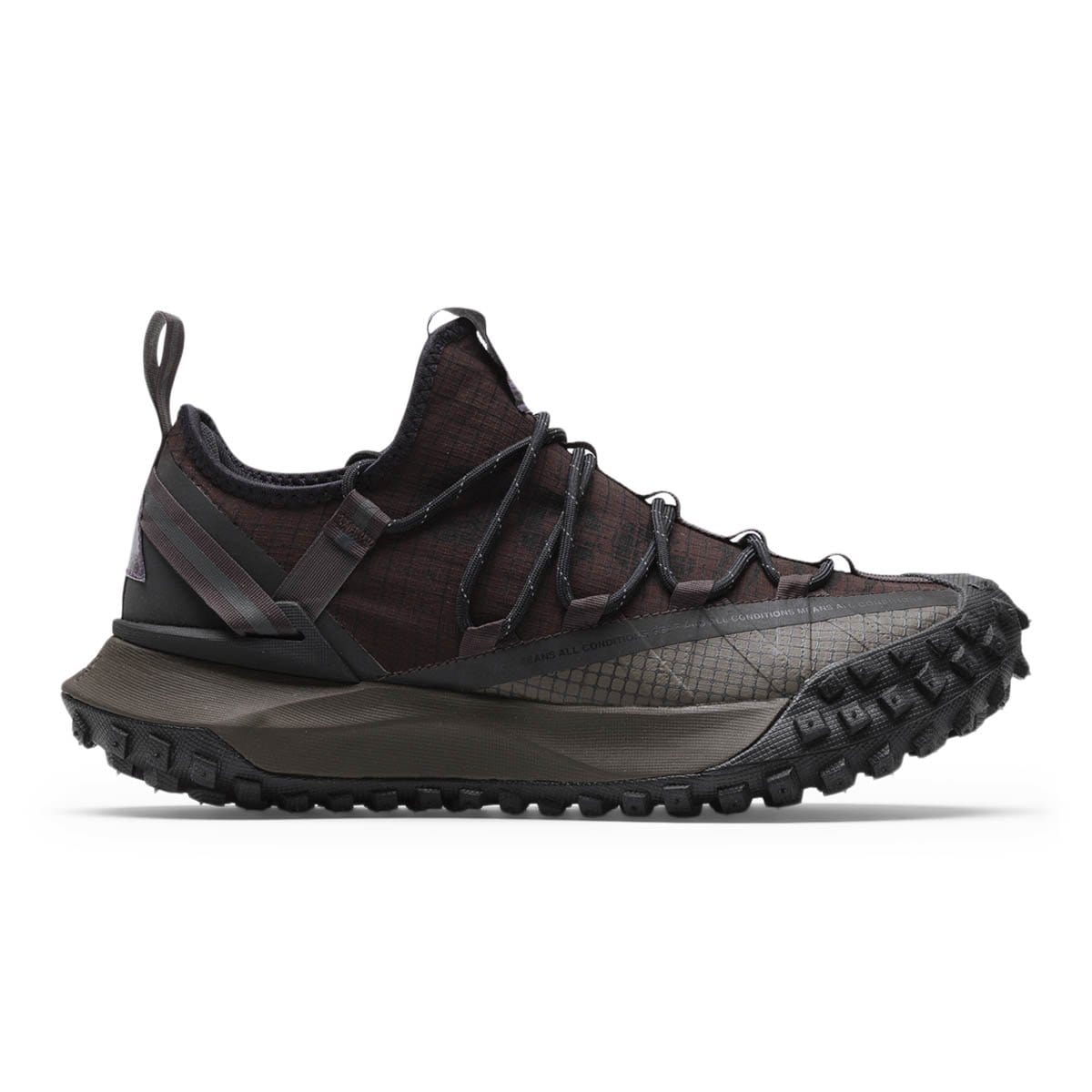 Nike Athletic ACG MOUNTAIN FLY LOW