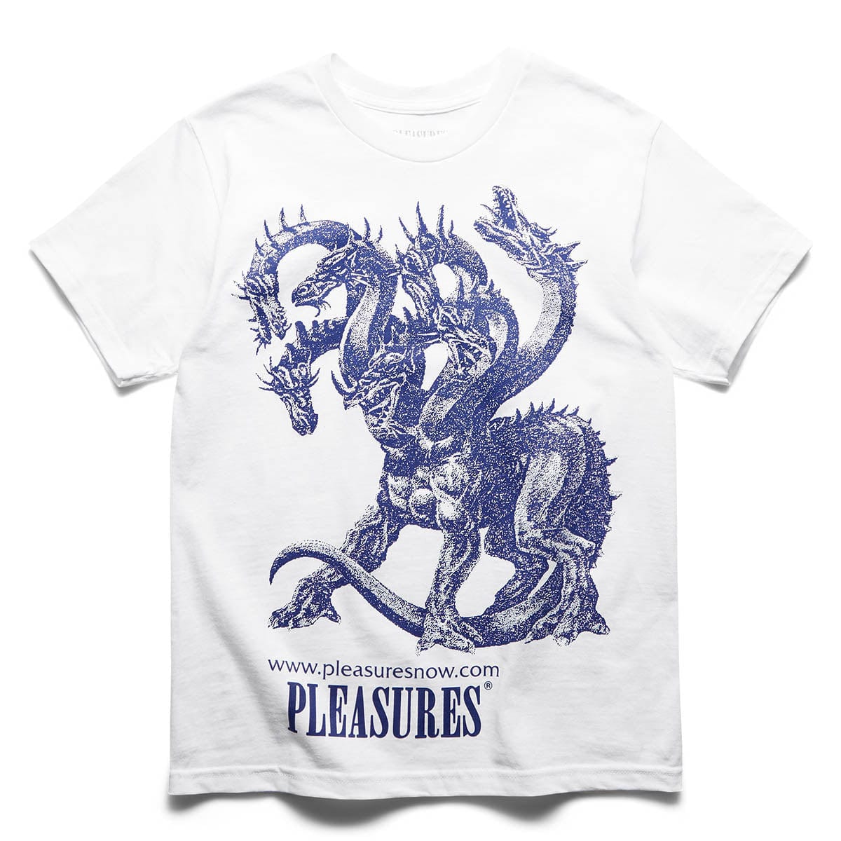 Pleasures T-Shirts DESTRUCTION T-SHIRT