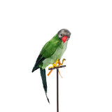 PUEBCO Odds & Ends GREEN PARROT / O/S ARTIFICIAL BIRDS: GREEN PARROT