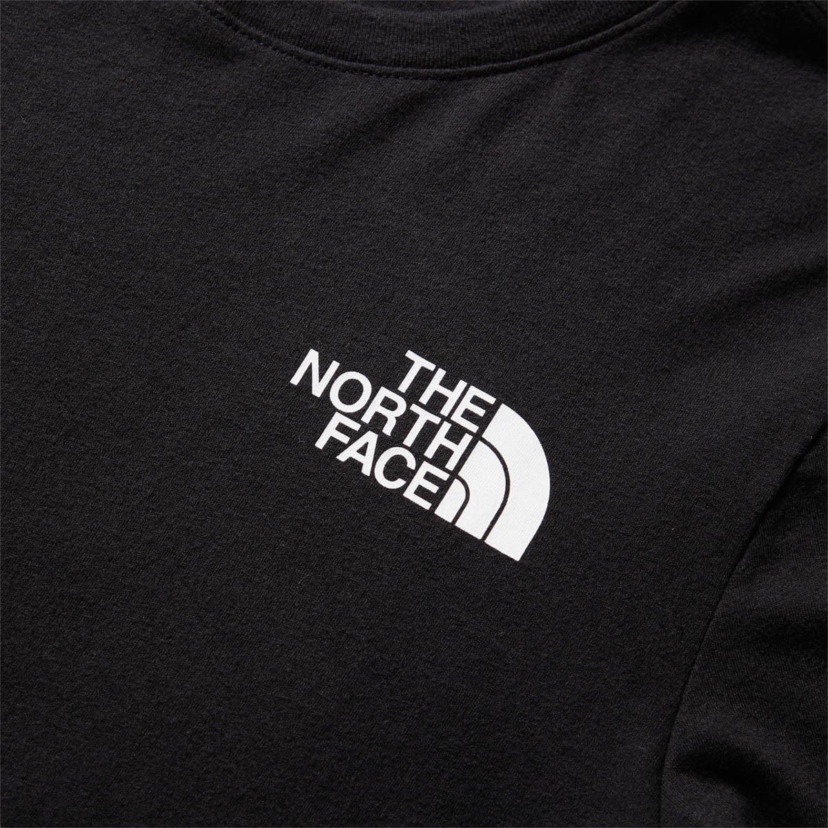 The North Face T-Shirts BOX NSE L/S TEE