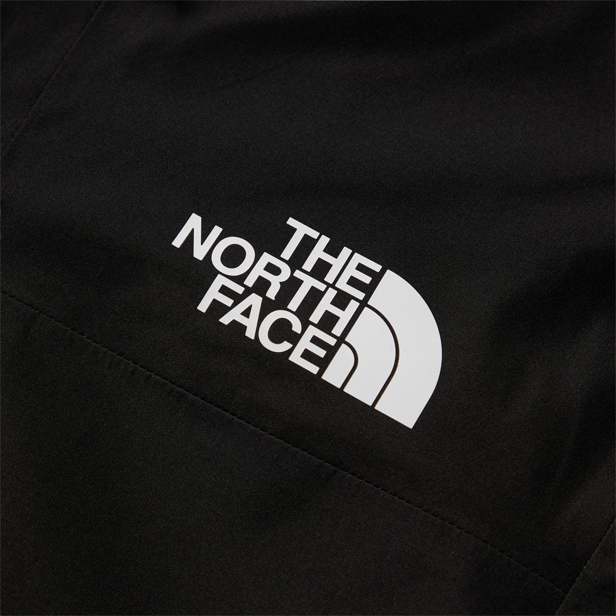 The North Face Outerwear RETRO '86 FUTURELIGHT MOUNTAIN JACKET