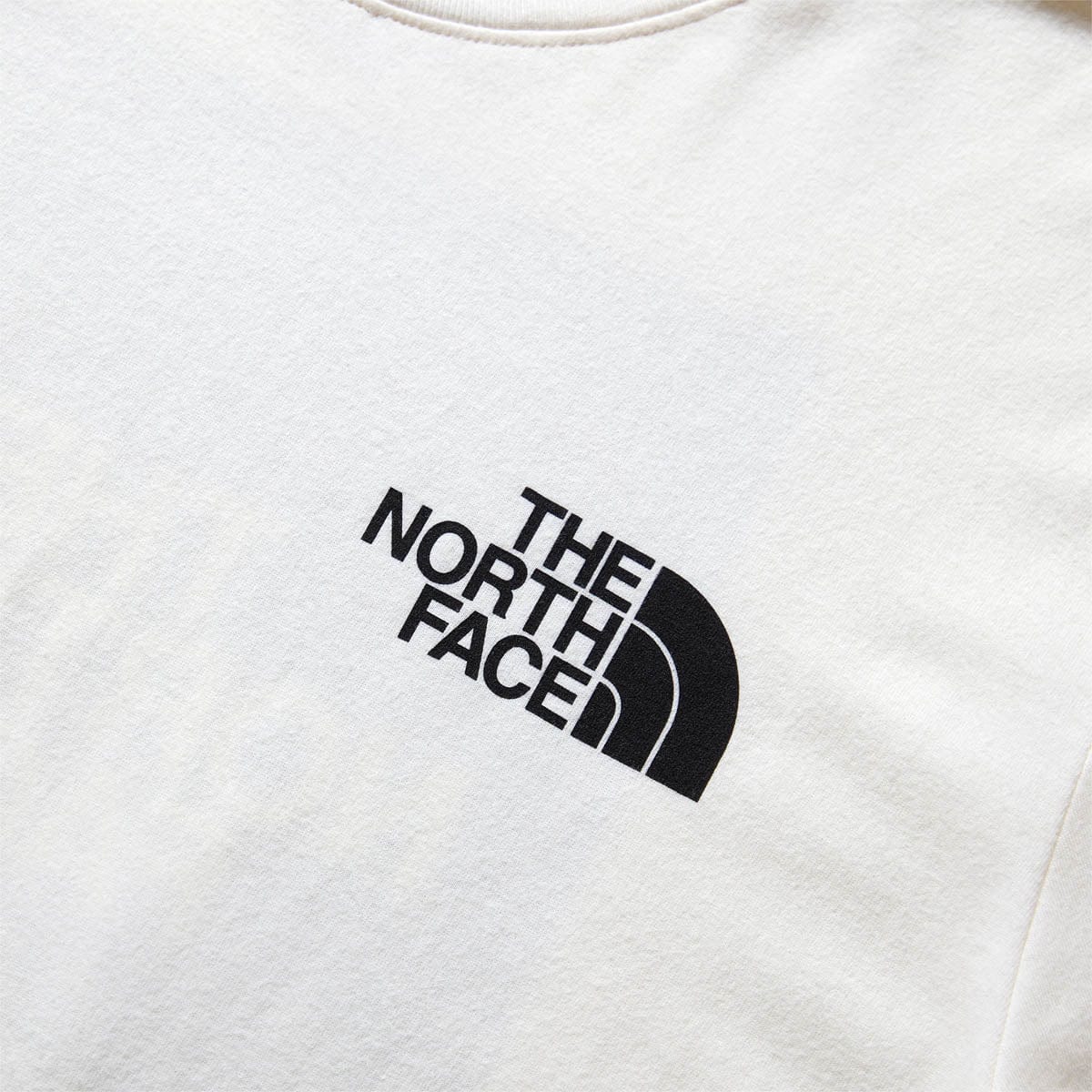 The North Face T-Shirts S/S BOX NSE TEE