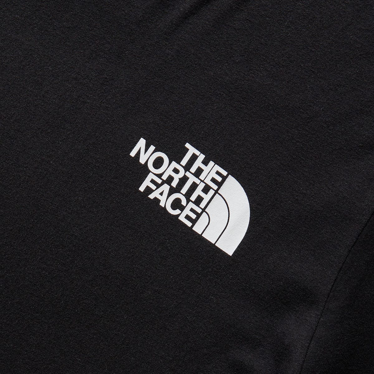 The North Face T-Shirts M S/S BOX NSE TEE