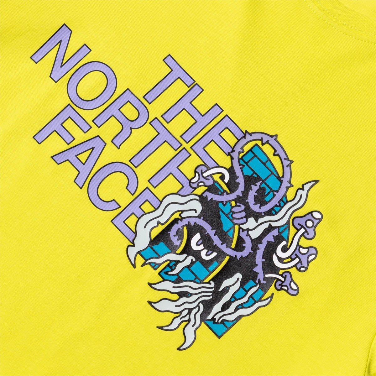 The North Face Black Box Collection T-Shirts BLACK BOX SS GRAPHIC TEE