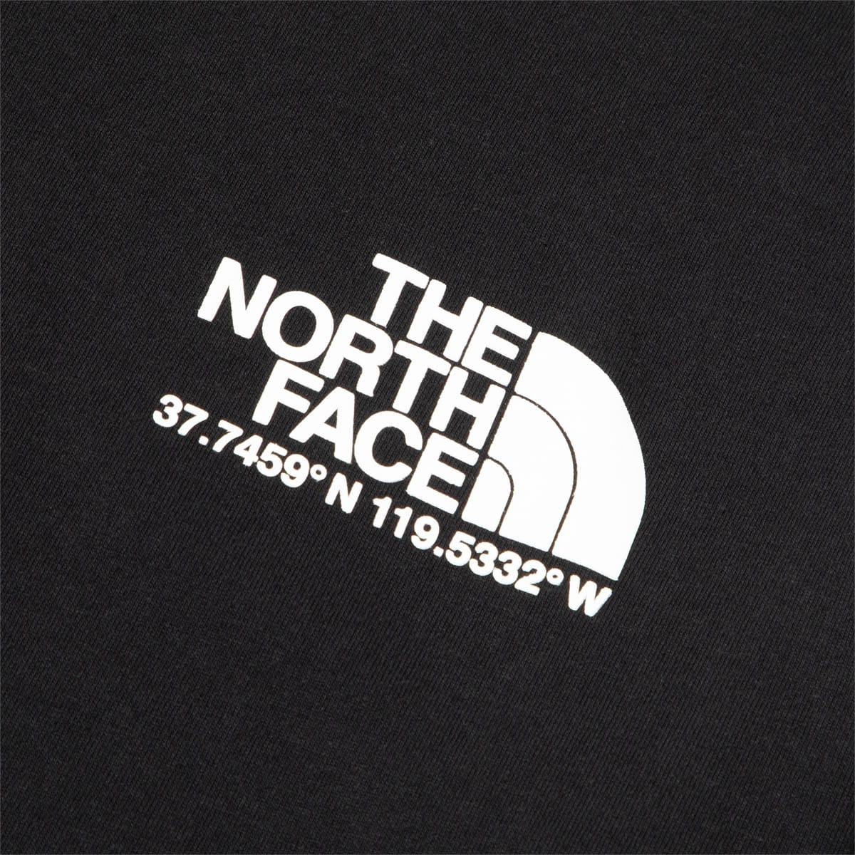 The North Face T-Shirts LOGO PLUS TEE